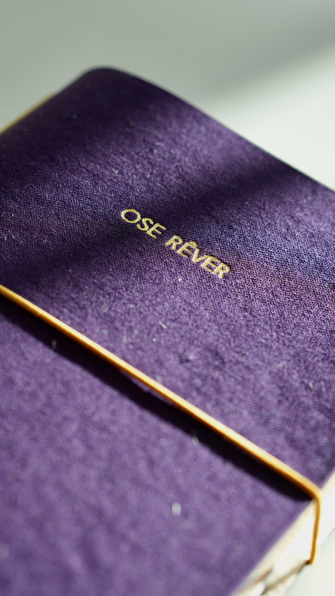 Carnet de bord rechargeable - Ose Rêver - Violet