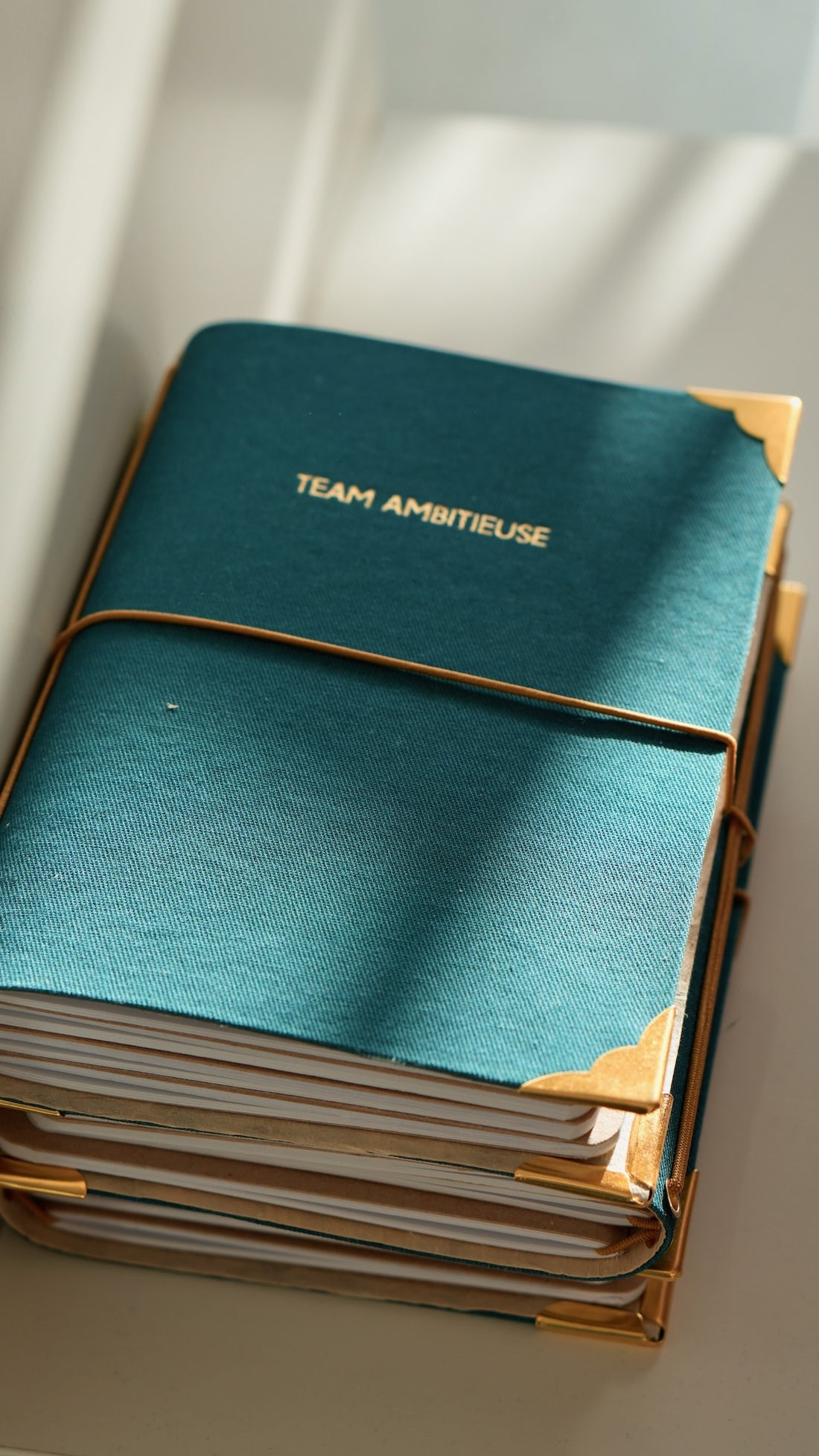 Carnet de bord rechargeable - Team ambitieuse - Bleu