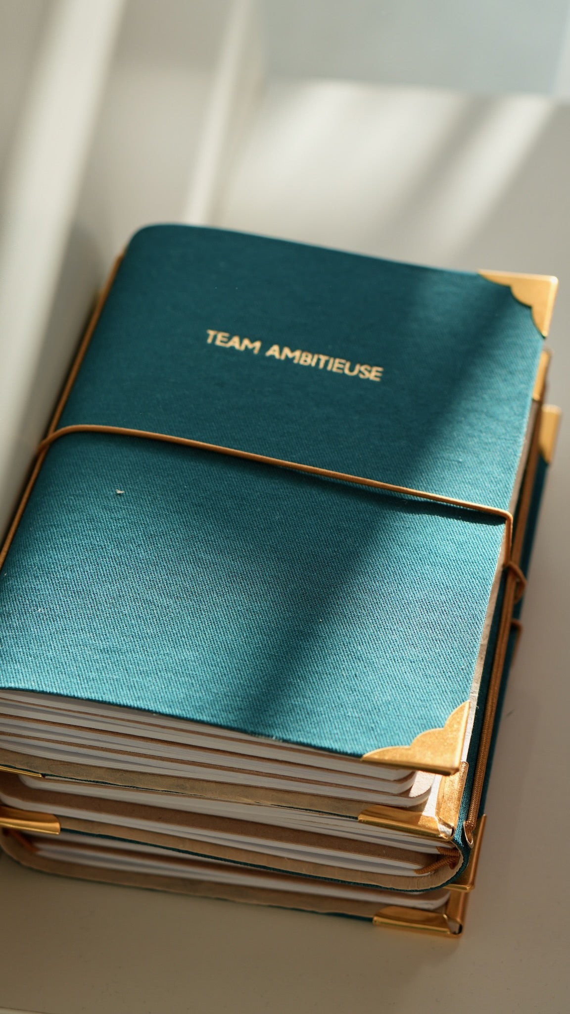 Carnet de bord rechargeable - Team ambitieuse - Bleu