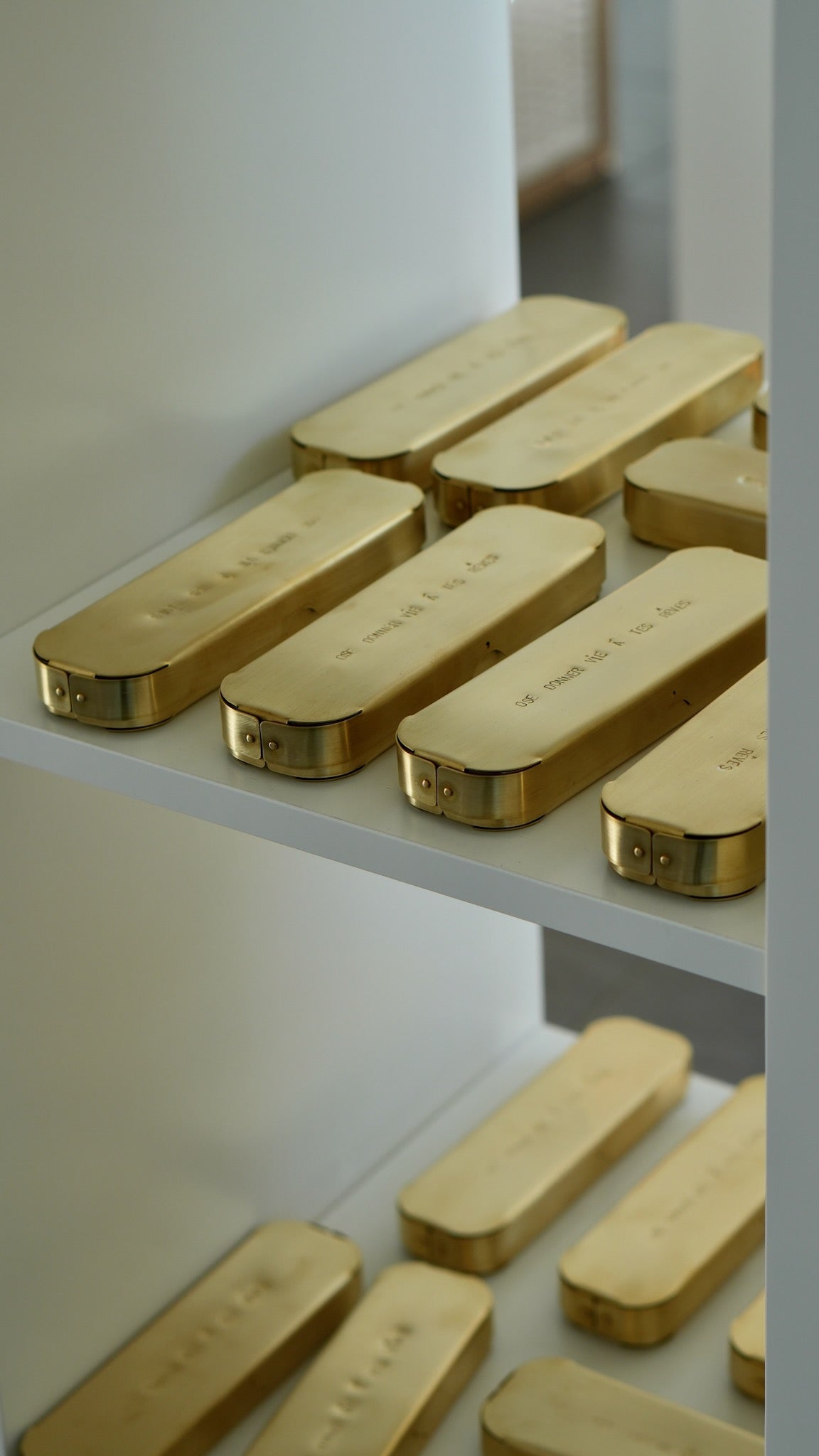 Plumier &quot;Oser donner vie à ses rêves&quot;