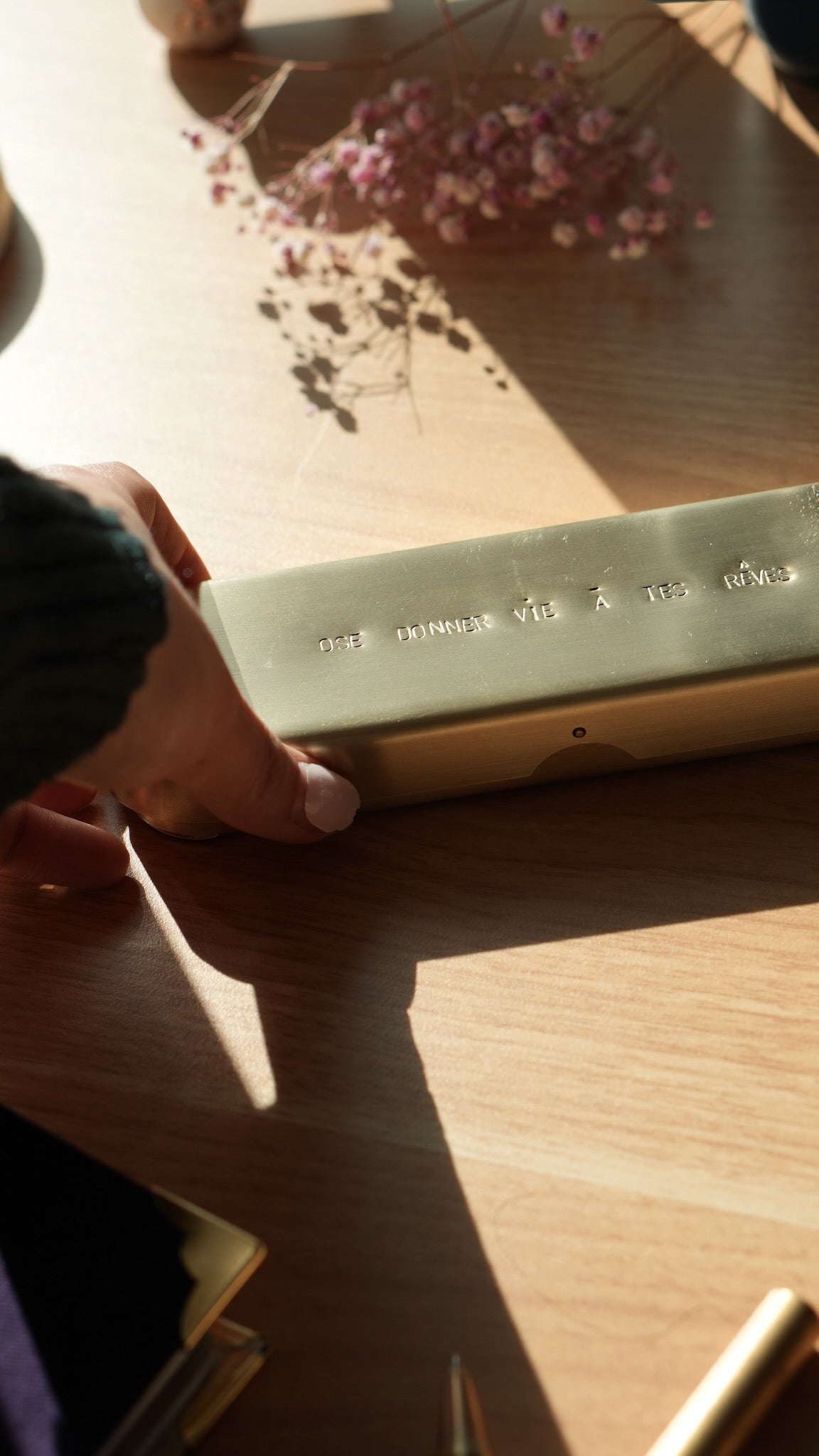 Plumier &quot;Oser donner vie à ses rêves&quot;